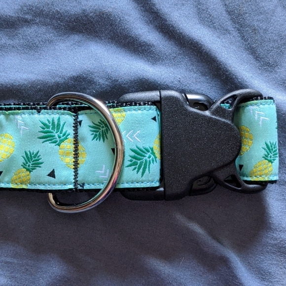 RC Pets Wide Clip Collar - Pineapple - Picture 2 of 4